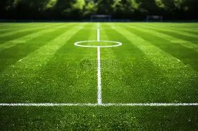 太阳报独家,揭秘,卡里乌斯娇,九游会,j9,九游会官方网站,j9官网,九游会游戏,j9真人游戏,九游会平台