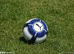 震惊揭秘,梅州客家降,级幕后黑手,九游会,j9,九游会官方网站,j9官网,九游会游戏,j9真人游戏,九游会平台