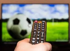 标题改写,独中两元荣,耀之夜,九游会,j9,九游会官方网站,j9官网,九游会游戏,j9真人游戏,九游会平台