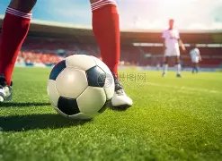 杨希深情致,敬邵佳一,携手共创,九游会,j9,九游会官方网站,j9官网,九游会游戏,j9真人游戏,九游会平台