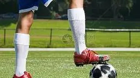 j9九游会 资讯 095157 d9s