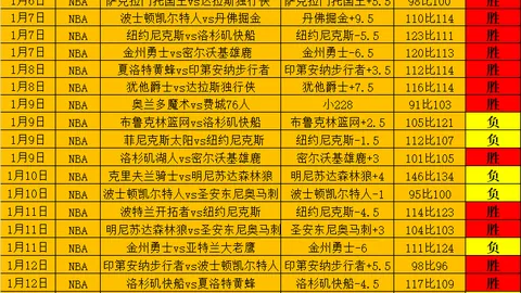 掘金队三双梦想背后的故事：阿裡納斯揭秘約基奇與數據的不解之緣