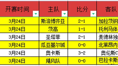 帕尔默梅开二度杰克逊添彩，切尔西3-0完胜维拉